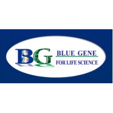 Porcine Secretin  (SCT) Elisa Kit