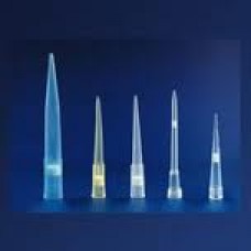 200 ul Filter Tip (racked)
