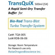 TransQuiX Semi-dry Protein Transfer Buffer (500 ml) TransQuiX Semi-dry Protein Transfer Buffer (500 ml)