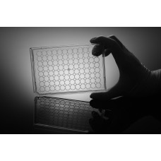 96-well Tissue Culture Plate