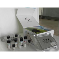 ELISA Kit for Tumor Associated Glycoprotein 72 (TAG72) ELISA Kit for Tumor Associated Glycoprotein 72 (TAG72)